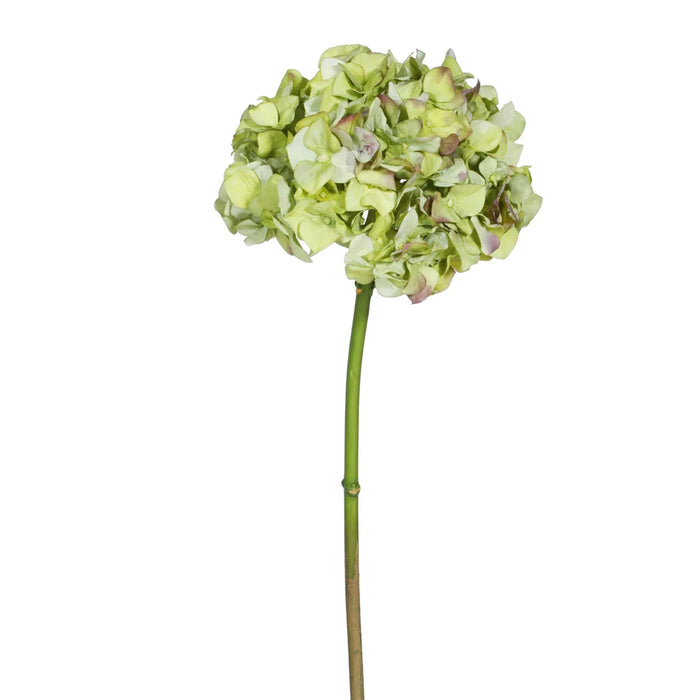 19" Hydrangea Stem - Green