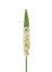 45 in Foxtail Lily - White