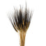 Blackbeard Wheat