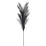 30 in Grass Branch - Black