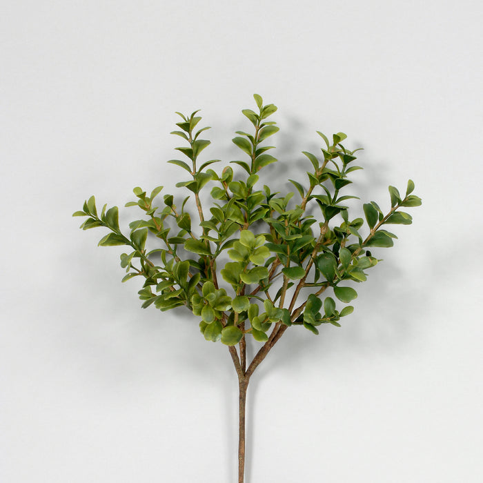 14 in Boxwood Pick - Green