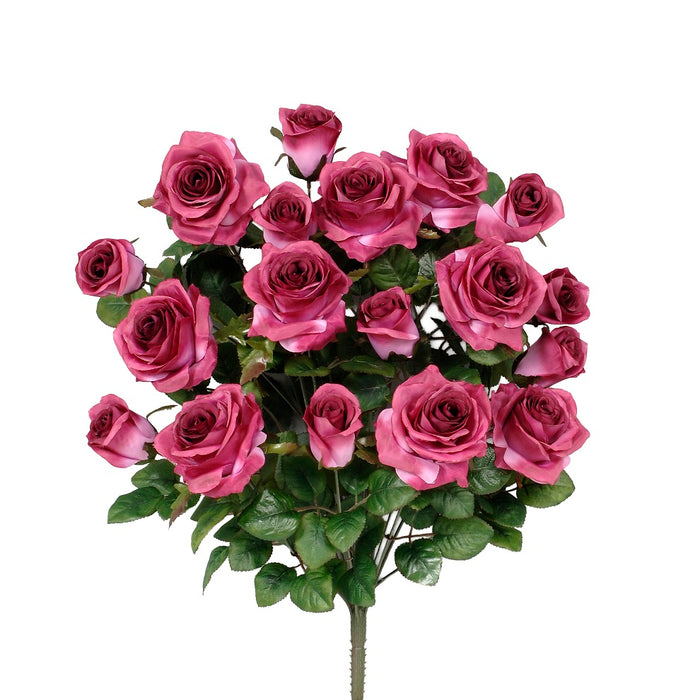 Grandiflora Rose Bush