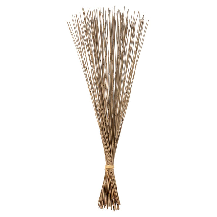 30" Natural Marsh Reed Bundle - 10oz