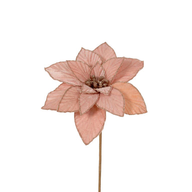 20" Velvet Poinsettia - Blush