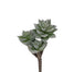 8 in Flocked Moonglow Crassula Pick - Dusty Green