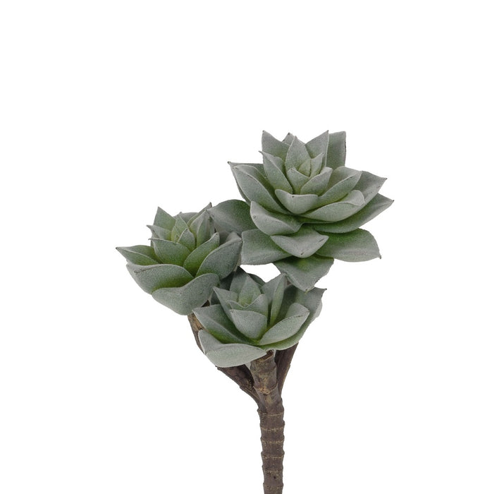 8 in Flocked Moonglow Crassula Pick - Dusty Green