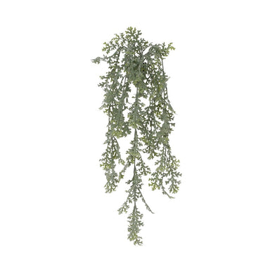 29 in Powdered Dusty Miller Hanging Bush - Green