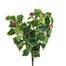 11 in Holly Berry Bush - Variegated Red
