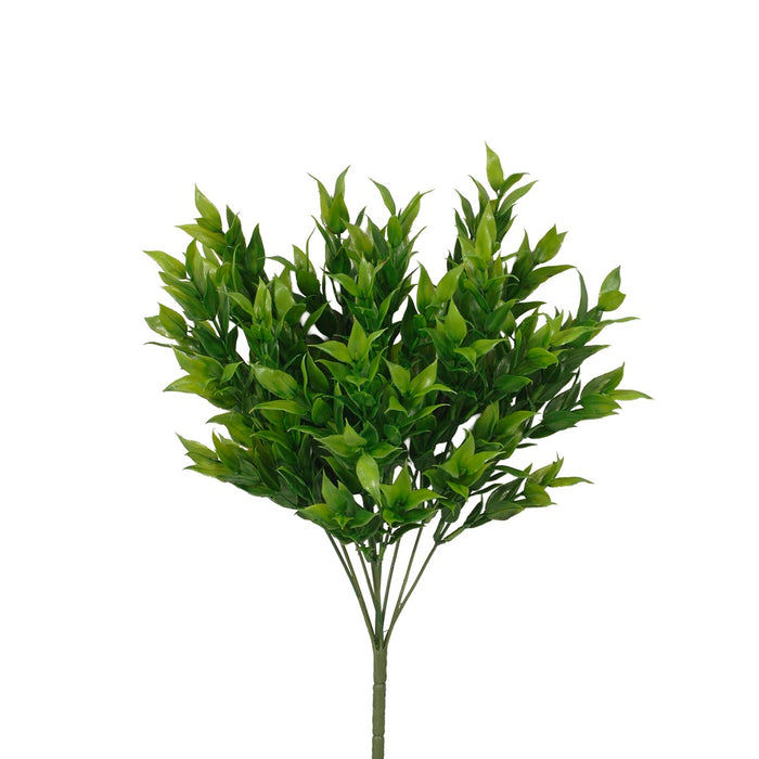 18 In Ruscus Leaves Bush x 9 - Dark Green