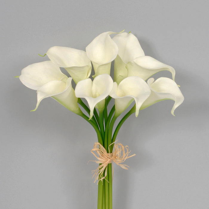 Calla Lily Bundle