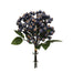 Hackle Berry Bundle - Blue