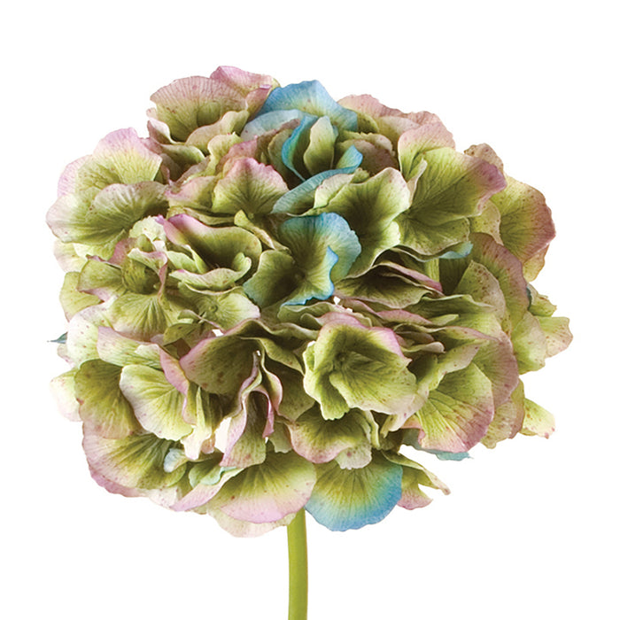 Collosal Hydrangea Spray - Natural Green
