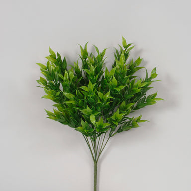 18 In Ruscus Leaves Bush x 9 - Dark Green