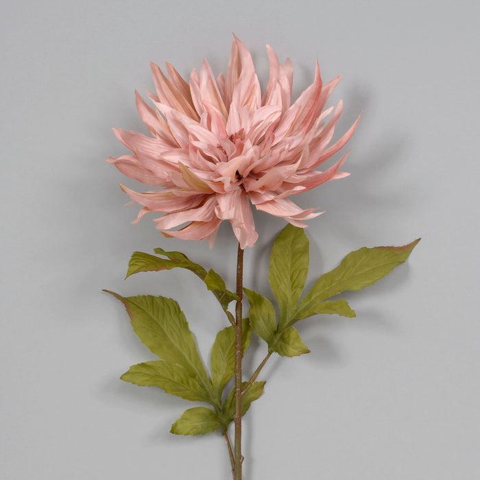 30" Polyester Flame Dahlia - Blush Pink