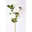 36" Velvet Rose Stem X 5 - White
