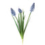 15" Grape Hyacinth - Violet Blue