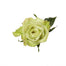 Green Roses