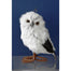 Snow Owl Ornament 8.5" - White/Brown