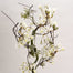 38.5" Snow Quince Branch - White