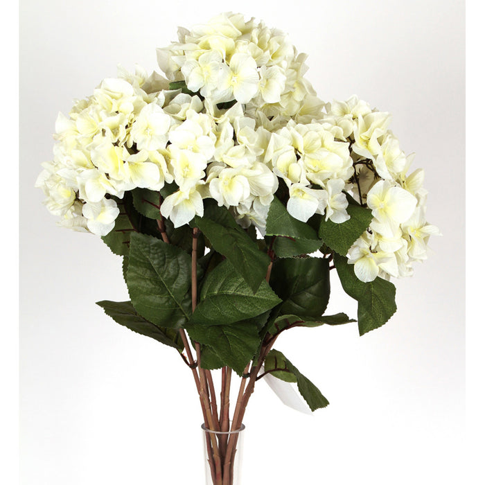 24" Hydrangea Bush X 10 - White