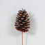 23" Lacquered Natural Pine Cone Pick